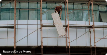 Reparación profesional de muros en proyecto de obras menores